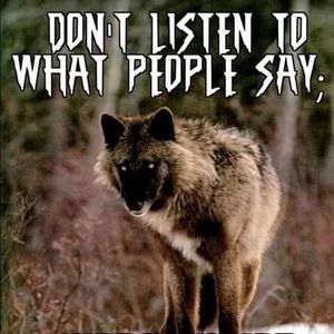 Meet your Posher, Nick